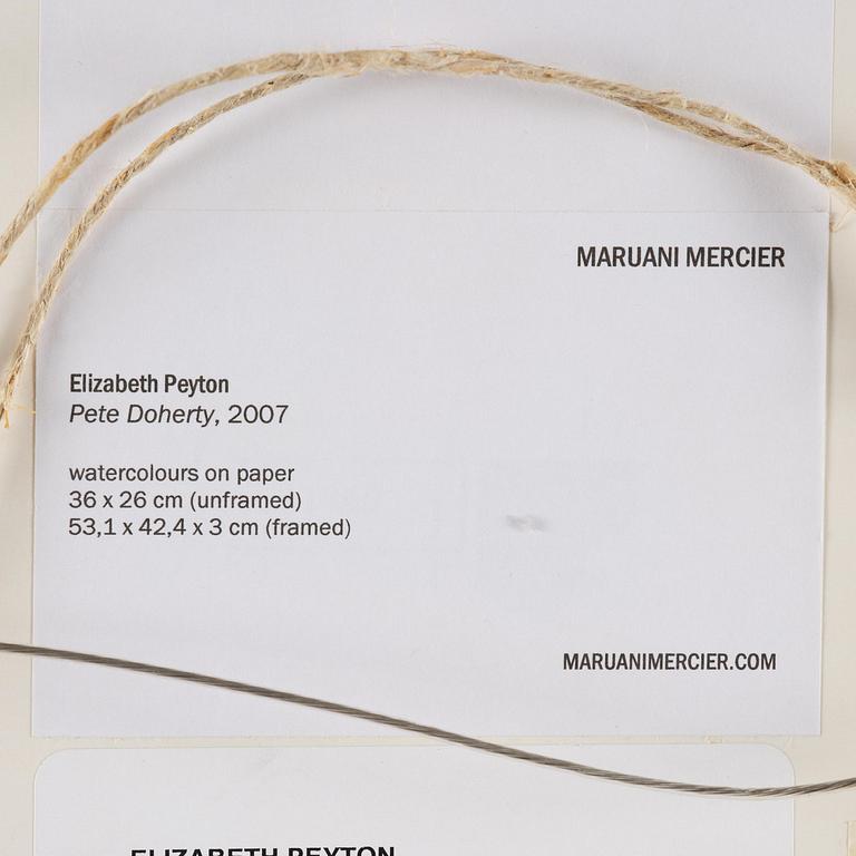 Elizabeth Peyton, "Pete (Pete Doherty)".