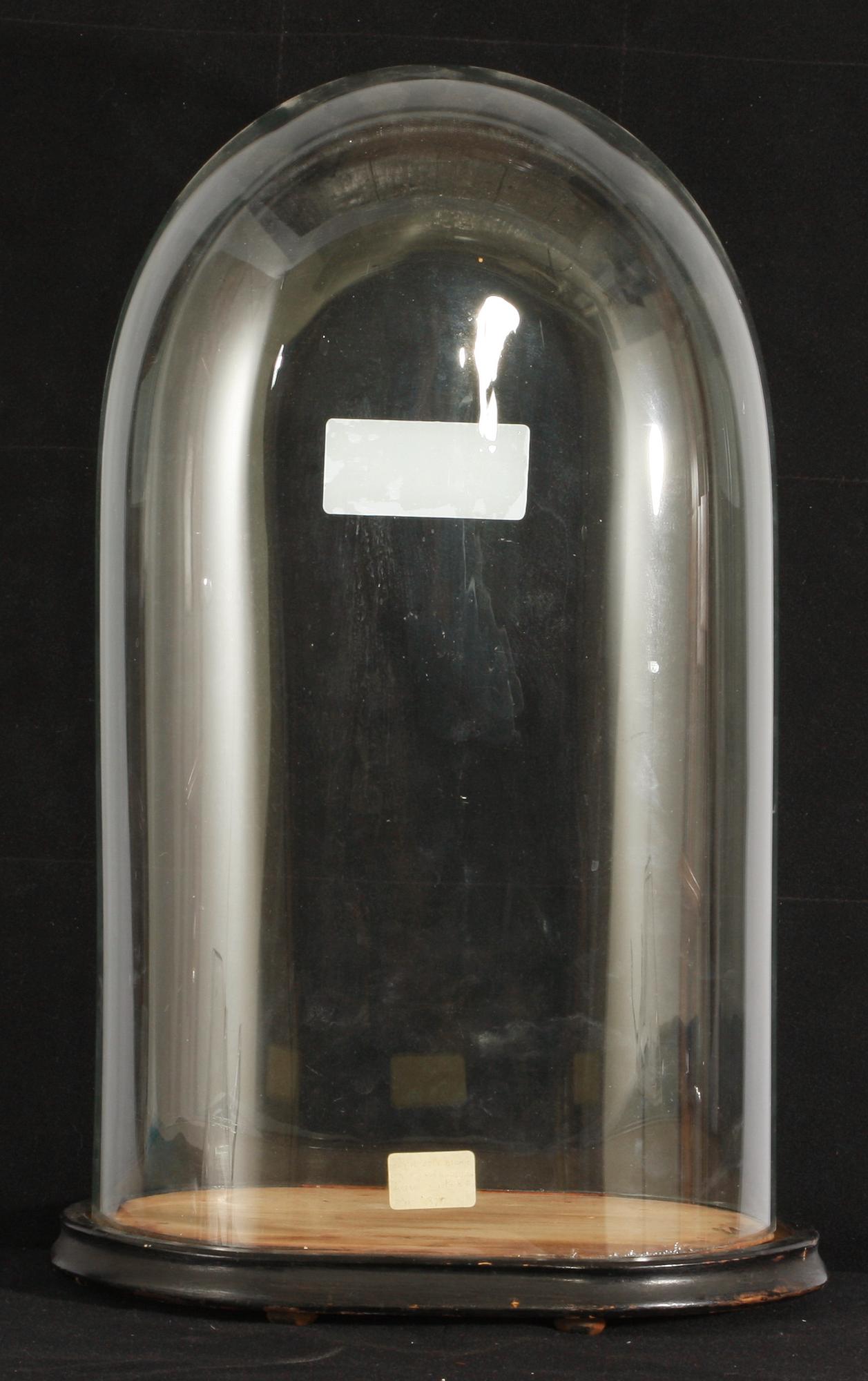 GLASKUPA med TRÄSTATIV.