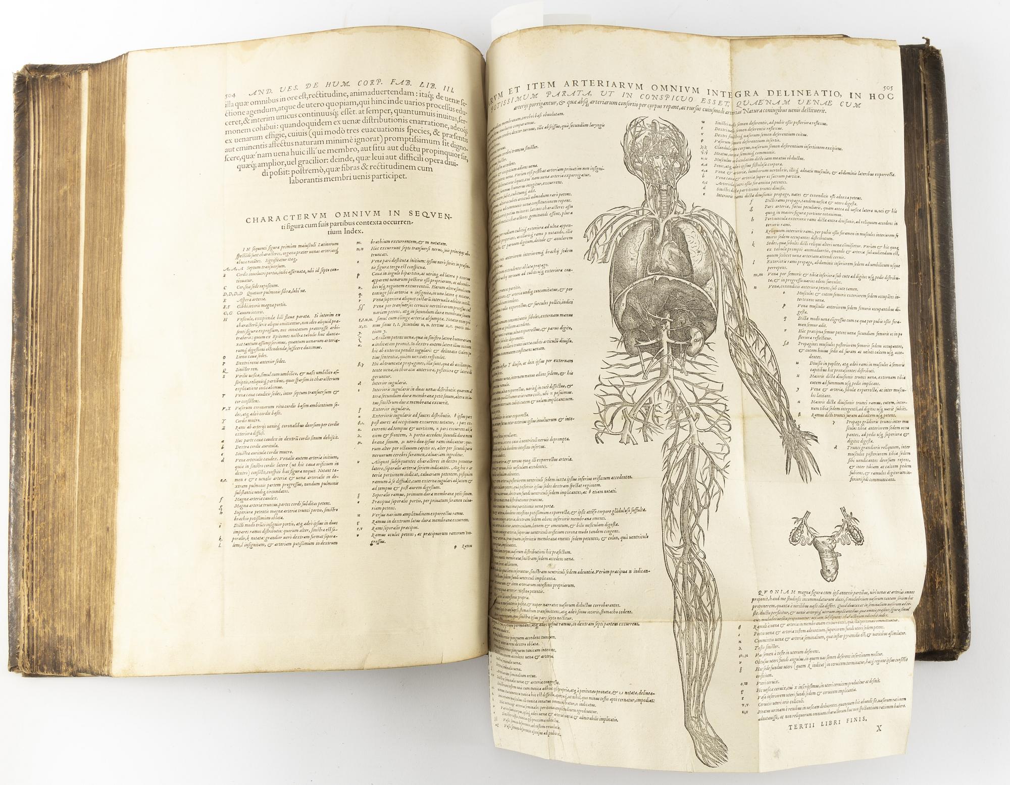 Andra och bästa upplagan av Vesalius’ anatomiska praktverk, 1555.