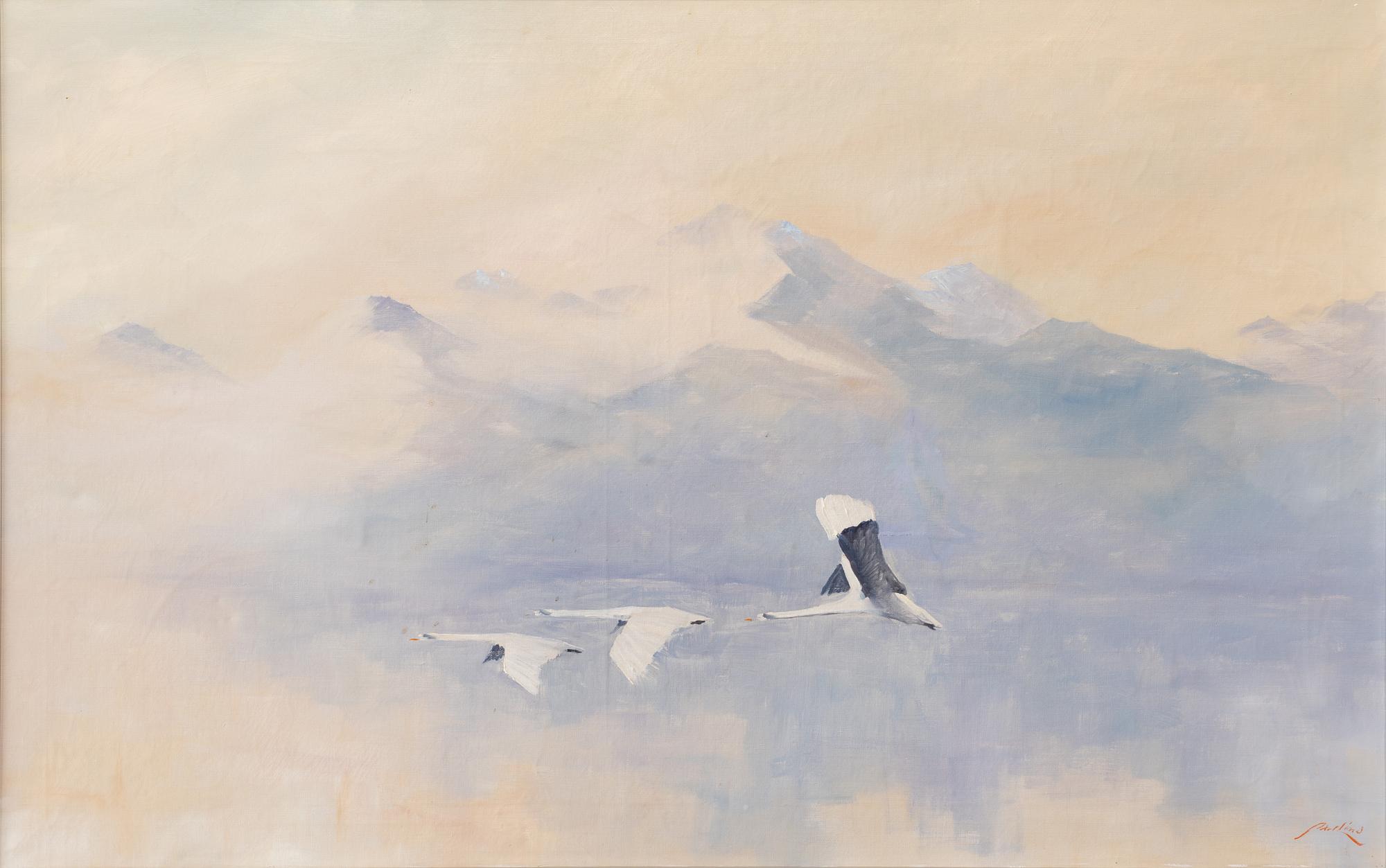 Axel Lind, Whooper Swan.