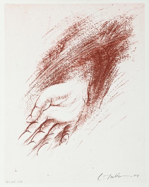 Laila Pullinen, HAND.