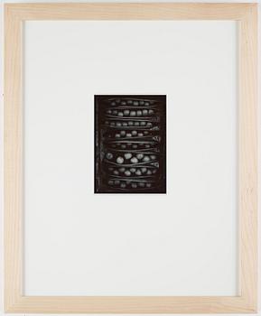 Olivia Parker, photograph signed on verso.