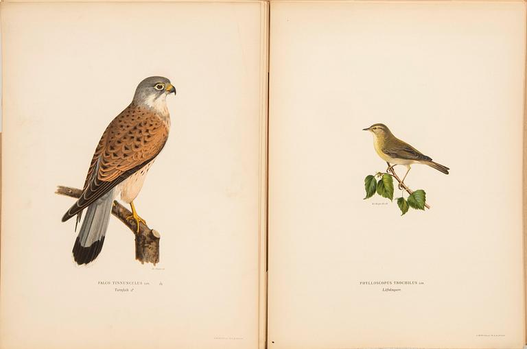 The von Wright brothers, folio work, "Swedish Birds", published by Ivar Baarsen, Stockholm 1918-1924.