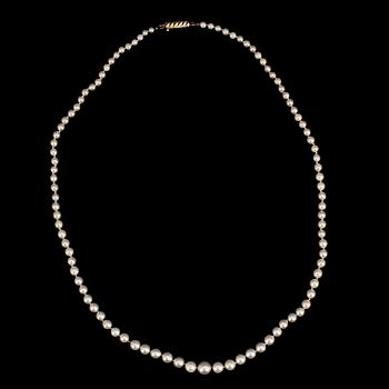 PÄRLCOLLIER, odlade pärlor, lås 18 k guld.