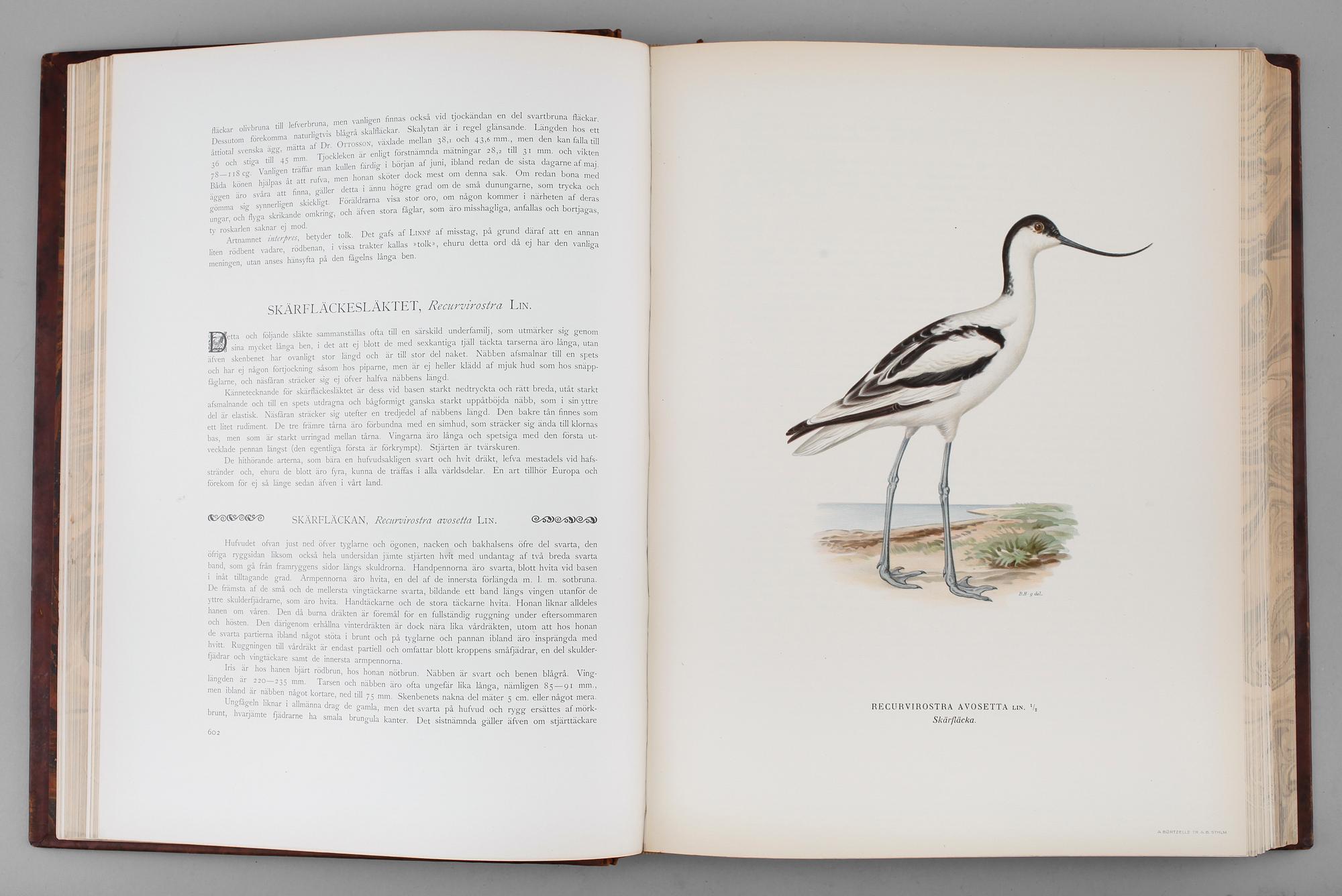 BÖCKER, 3 vol, "Svenska Fåglar", Wilhelm von Wright, Förlaget Svenska Fåglar Stockholm, 1927.