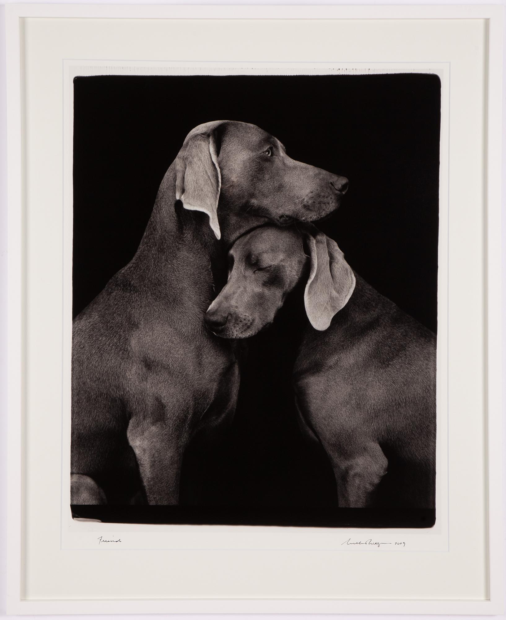 William Wegman, "Friends".