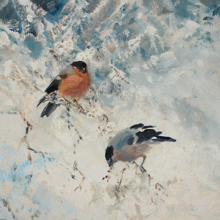 Mosse Stoopendaal, "Domherrar" (Bullfinches).