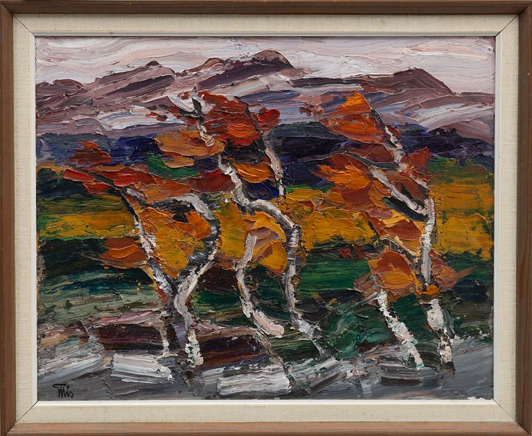 Bengt Ellis, "Fjällbjörkar mot Anåfjället".