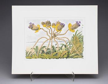 KARL AXEL PEHRSON, mapp med 10 färglitografier, "Vyer från Nirak", sign o numr 37/285. 1973.