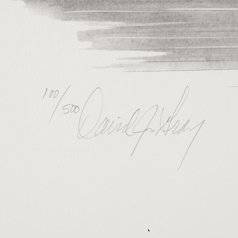 DAVID GRAY, 2 st, litografier, signerade samt med autografer bla Rick Mears, numrerade 100/500 resp 385/500.