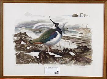 Lars Jonsson · JONSSON, LARS, litografi, sign o numr 27/350.