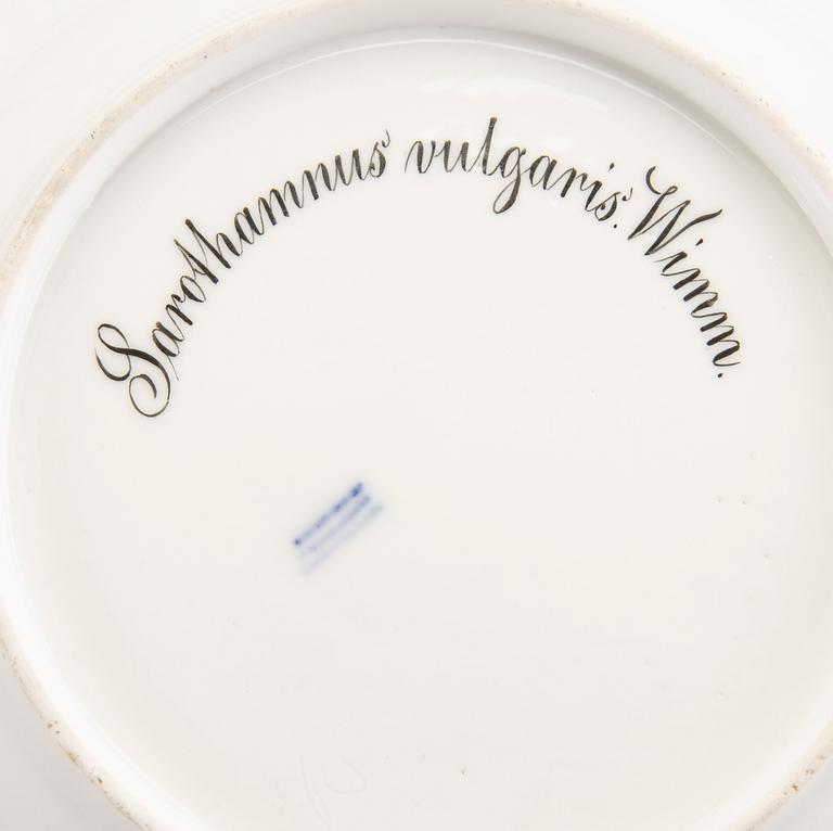 Tallrikar, 2 st, "Flora Danica", Royal Copenhagen Danmark sent 1800-tal.