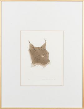 Pentti Lumikangas, Ilves.