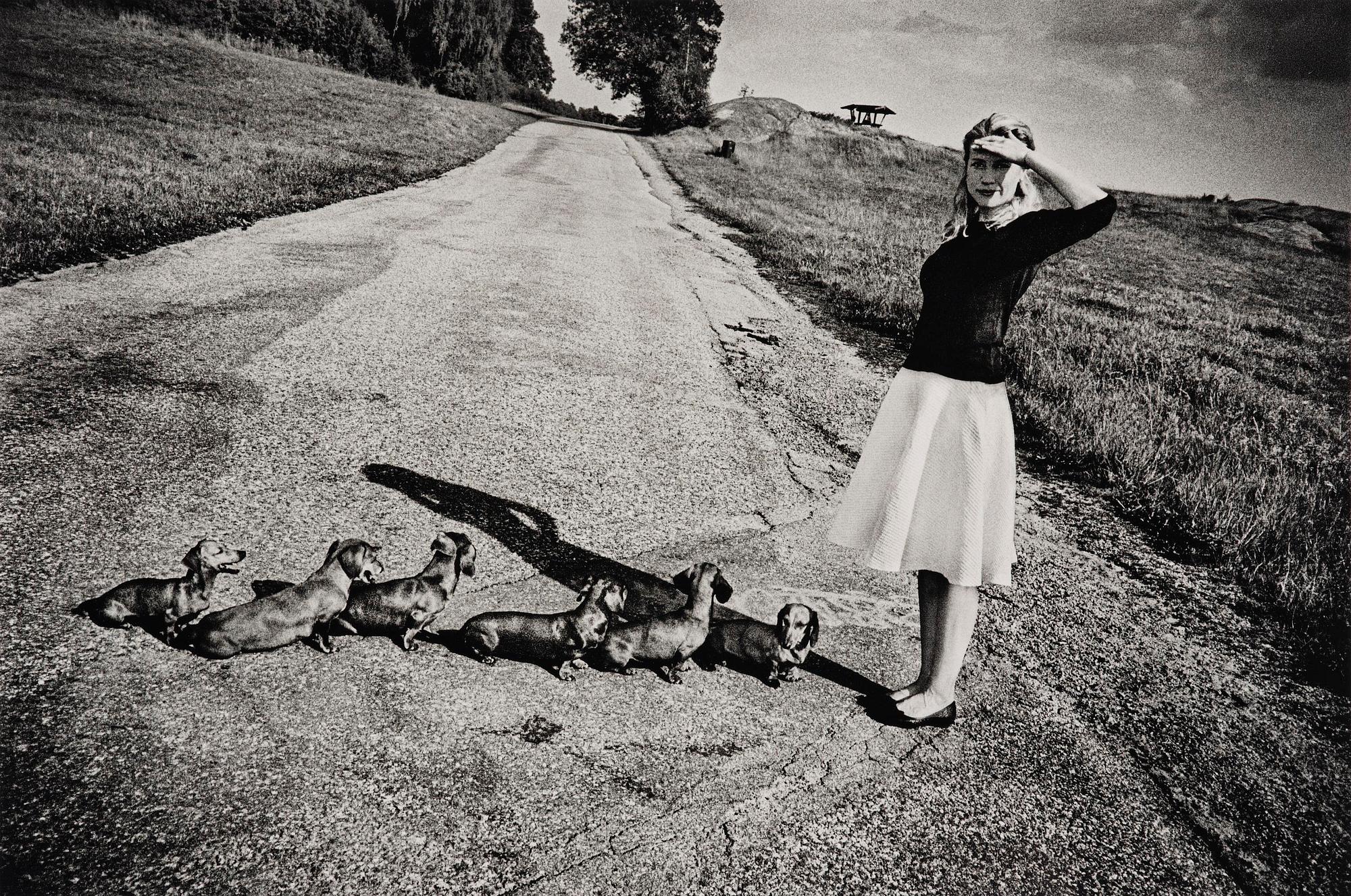 Anders Petersen, "Gärdet", 2016.