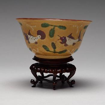 SKÅL, biskvi. Qingdynastin, Kangxi (1662-1722).