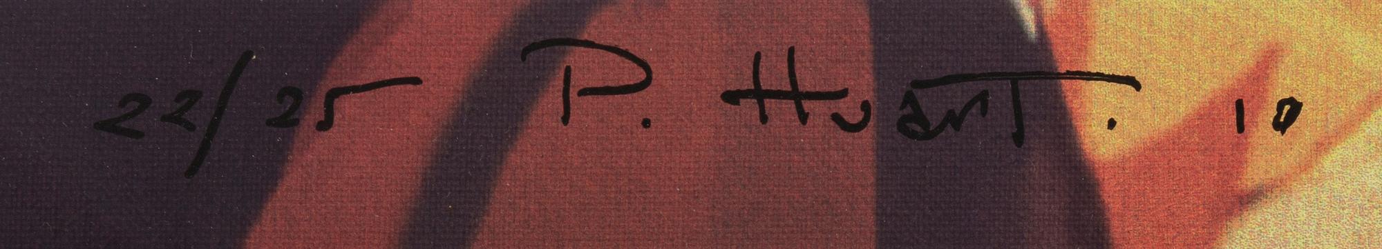 Philippe Huart, silkscreen in colours on canvas, 2010, signed 22/25.