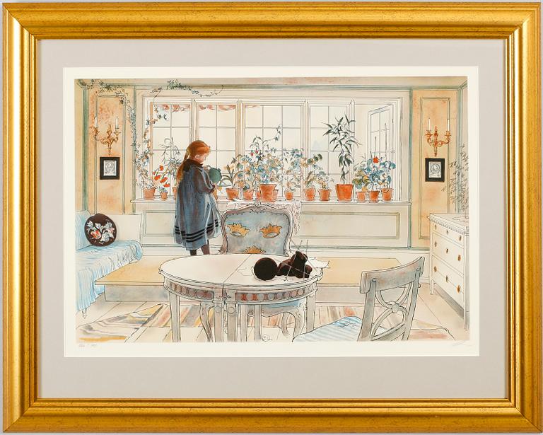 CARL LARSSON, efter, färglitografi, numrerad 546/790.