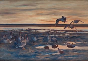 648. Bruno Liljefors, Flying geese.