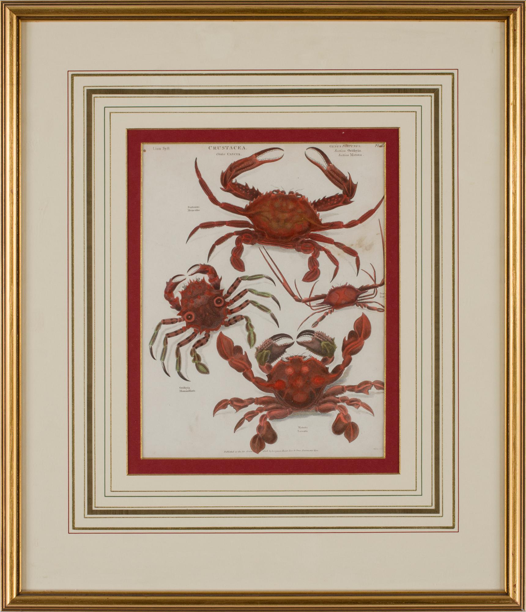 GRAVYRER, 4 stycken, tryck av Longman Hurst, Rees, Orme & Brown, Paternoster Row, tidigt 1800-tal..