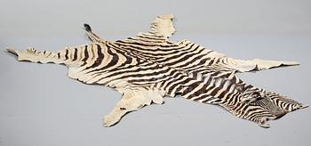 ZEBRASKINN, Namibia, 1988.