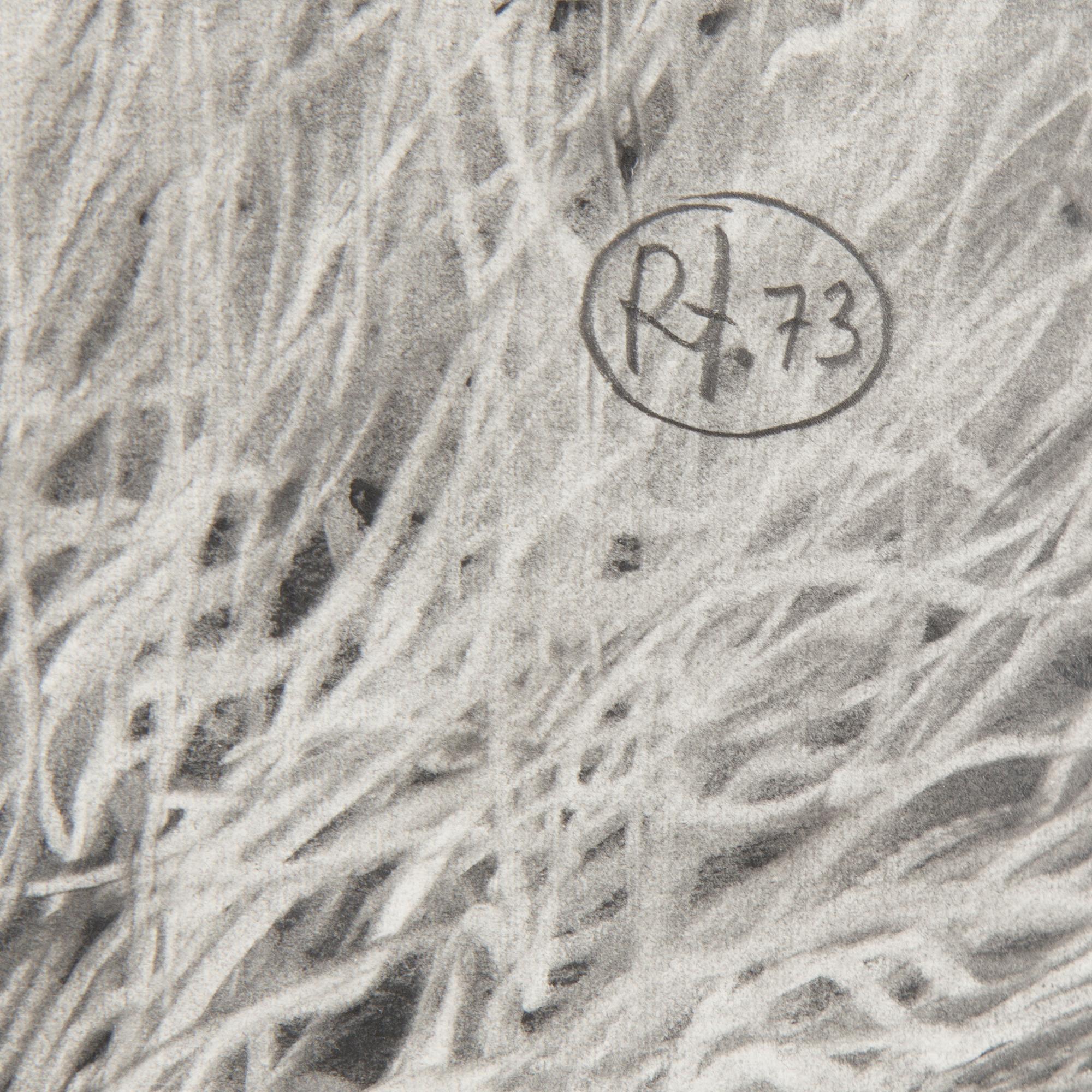 ROJ FRIBERG, blyerts på papper, signerad Rf. och daterad 73.