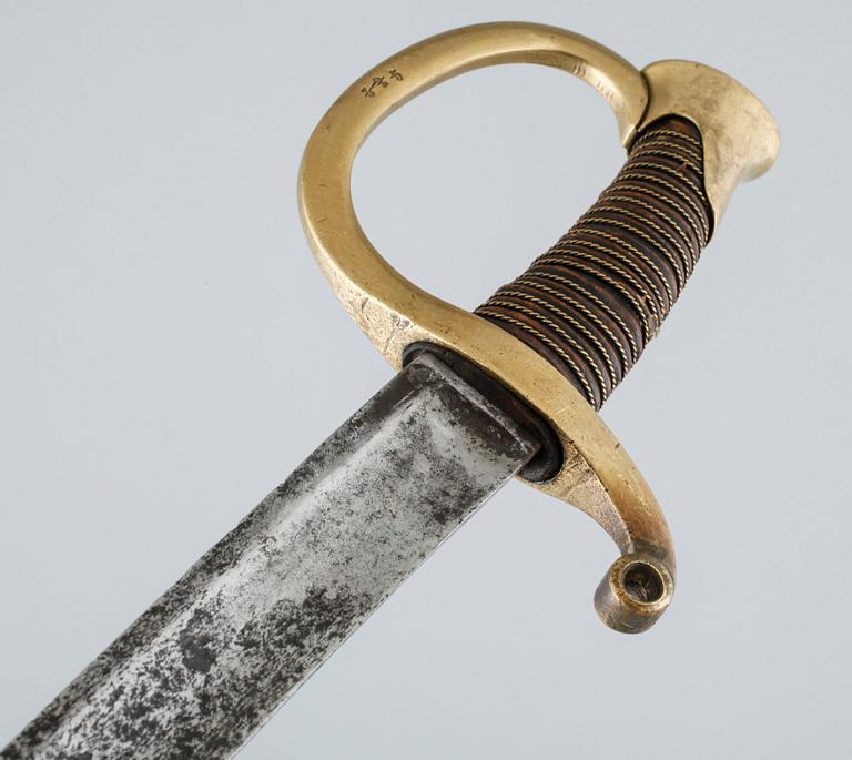 A french sabre, 19th century.