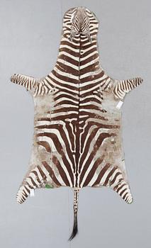 ZEBRASKINN, Zambia, 1980-tal.