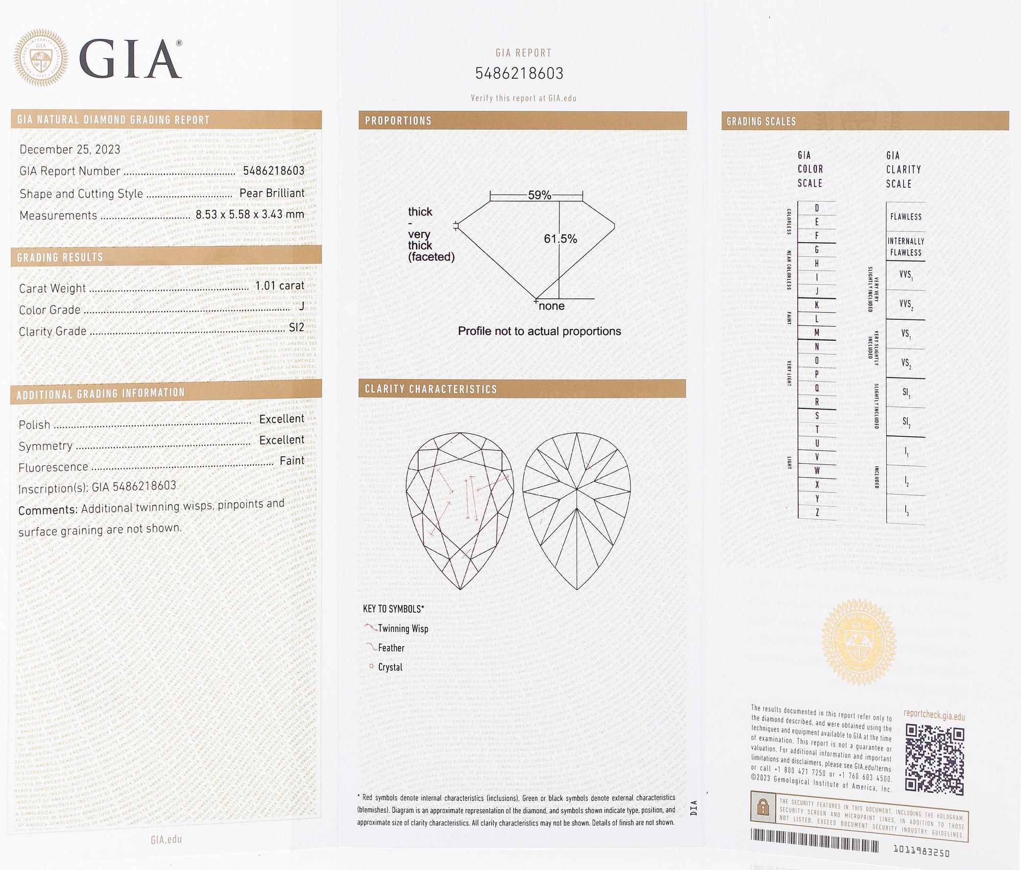 Örhängen, enstensörhängen, 18K vitguld med droppslipade diamanter.