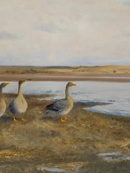 Bruno Liljefors, Landscape with geese.