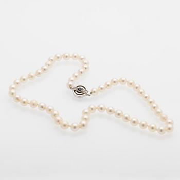 Pearl necklace, white gold clasp set with diamonds and a sapphire.