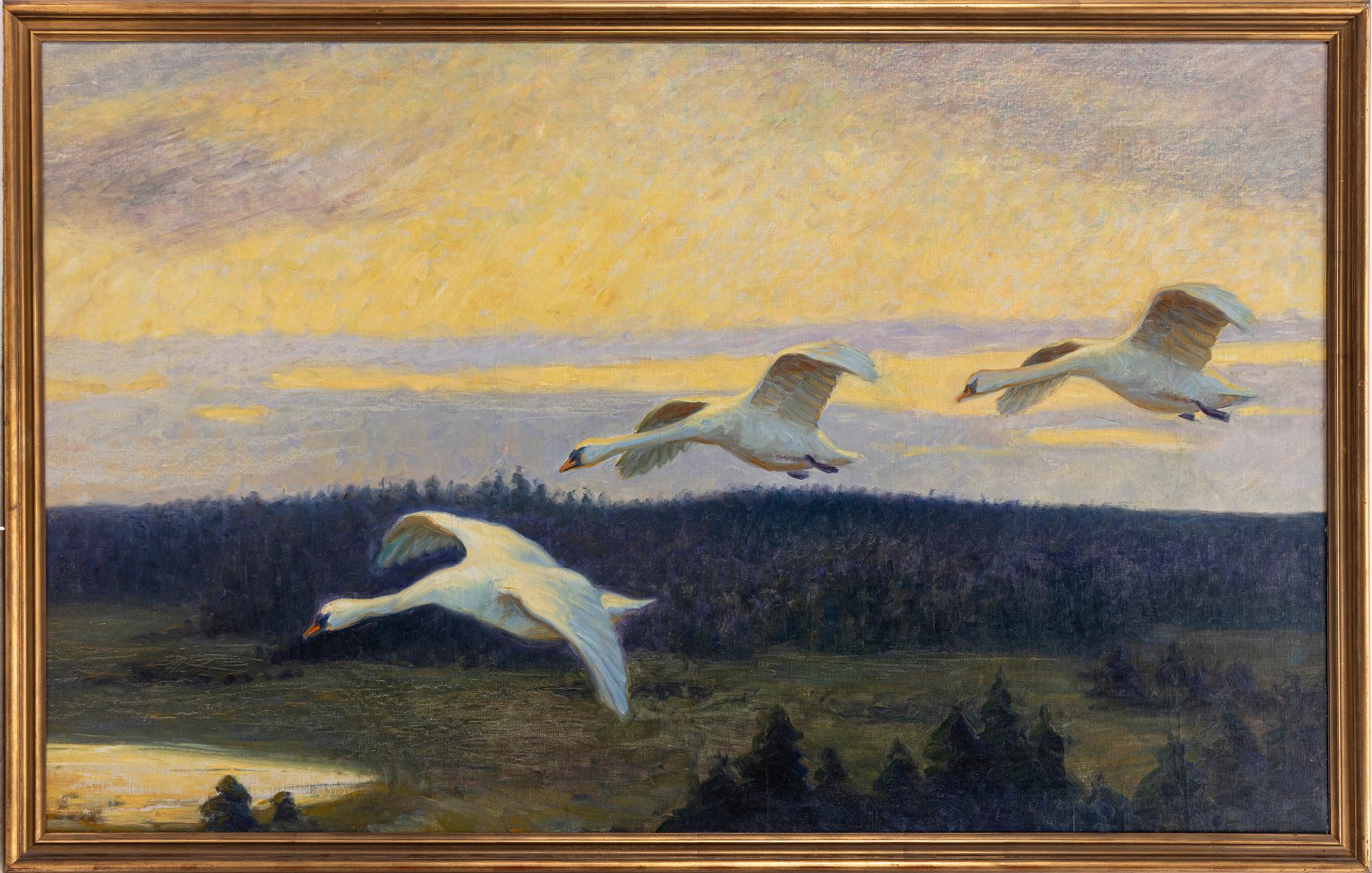 William Gislander, Swans.