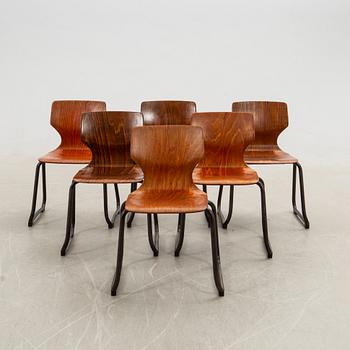 Adam Segner stolar 6 st Flötotto Tyskland 1900-talets mitt.