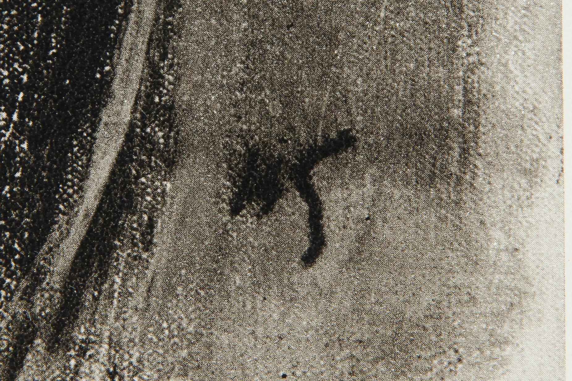 Helene Schjerfbeck, Forty-eight reproductions with text by Gotthard Johansson.