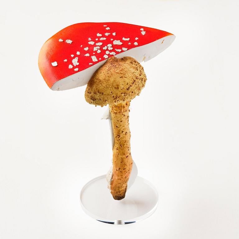 Carsten Höller, "Double Mushroom Vitrine (Once)".