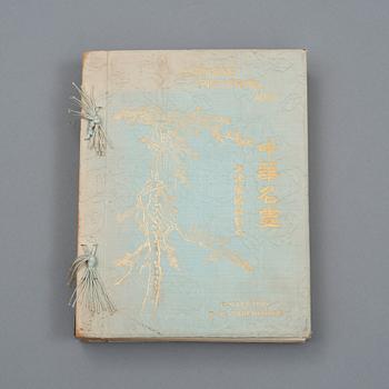 Book, E. A. Strehlneek, "Chinese Pictorial Art. Collection E. A. Strehlneek", Shanghai 1914.