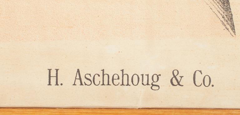 SKOLPLANSCH, 1900-tal.