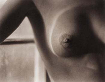 287. Edward Weston, "Nude", 1920.