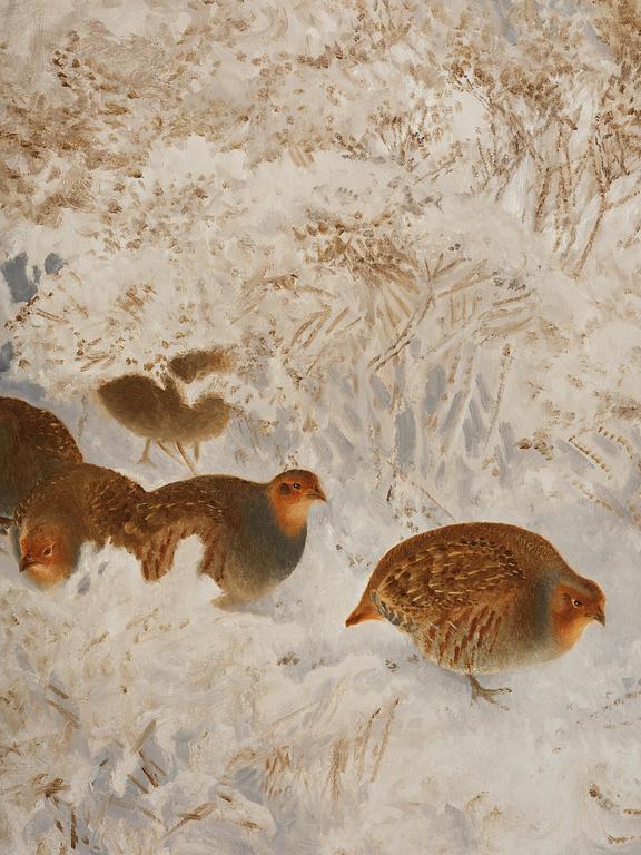 Bruno Liljefors, Grouse in snow.