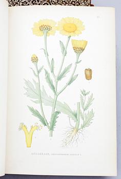 BOKVERK, 3 vol, "Bilder ur nordens flora", av CAM Lindman. Stockholm 1905.