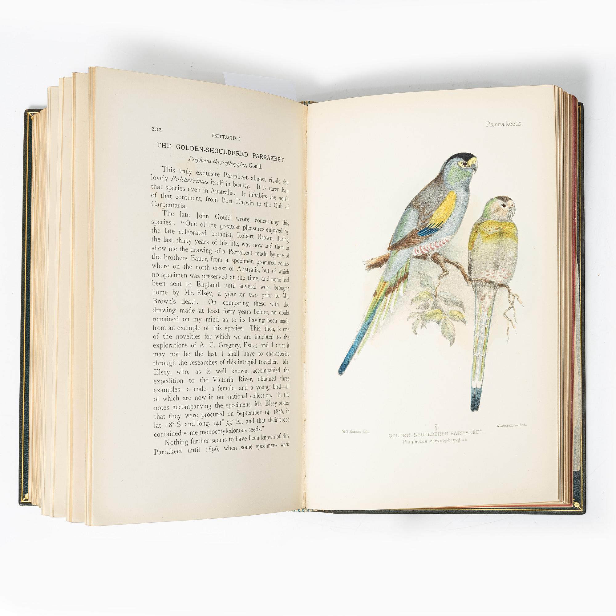 With 20 hand-coloured plates of Parrakeets.