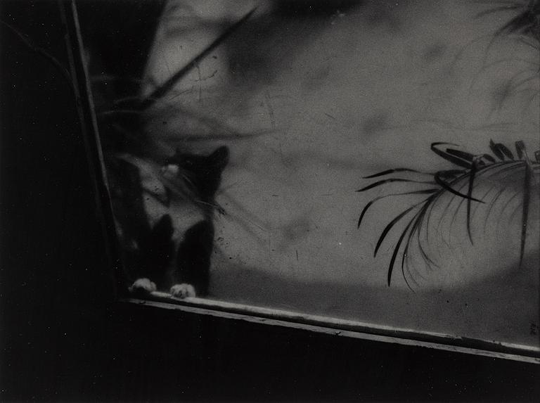 KENNETH GUSTAVSSON, gelatin silver print.