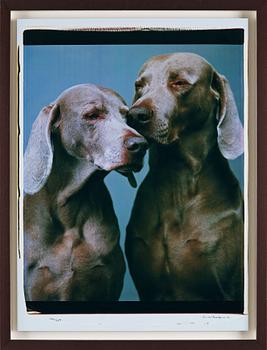 269. William Wegman, "Nuzzle", 2001.