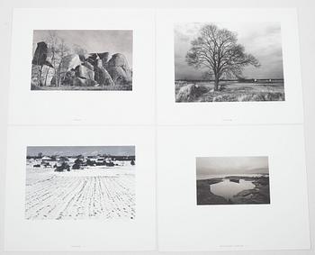 Pentti Sammallahti, "Rannalla".