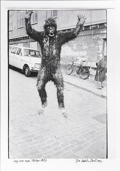 Carl Johan De Geer, "Jag som apa Tårtan 1972".