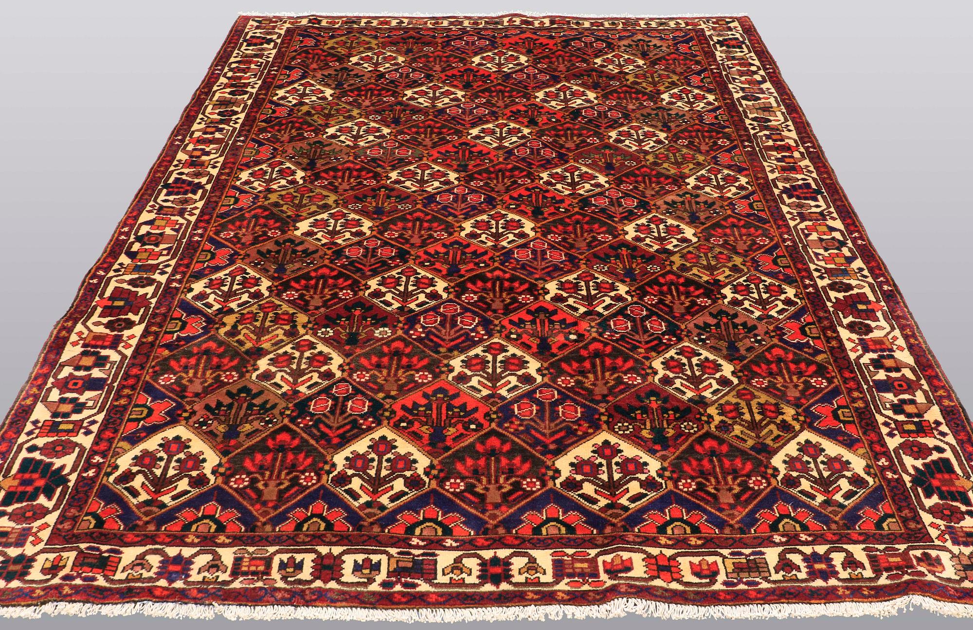 Matta, Baktiari, 313 x 211 cm.