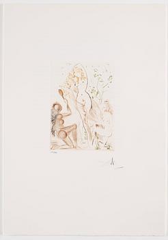 Salvador Dalí, "Boccacio Décamerone".