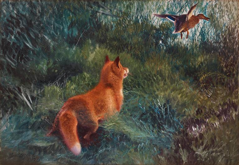 Bruno Liljefors, Fox and lifting mallard.