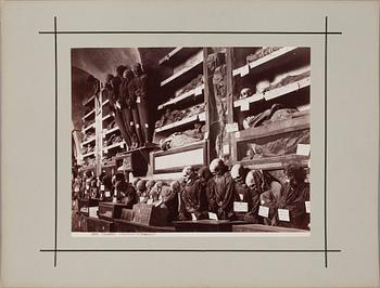 FOTOGRAFIER, 16 st, Italien 1800-talets slut.