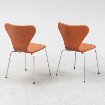 Arne Jacobsen, stolar, 6 st, "sjuan", Fritz Hansen, Danmark, sent 1900-tal.