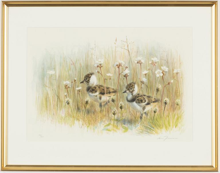 Lars Jonsson, Bird Chicks in the Green.